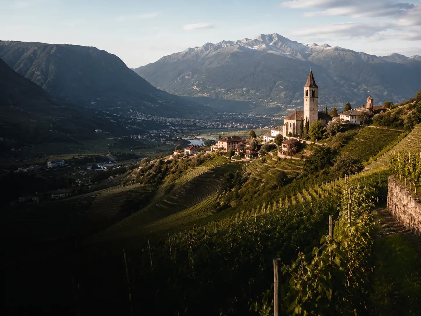 Südtiroler Weinlandschaft mit Bergen und Weinreben
