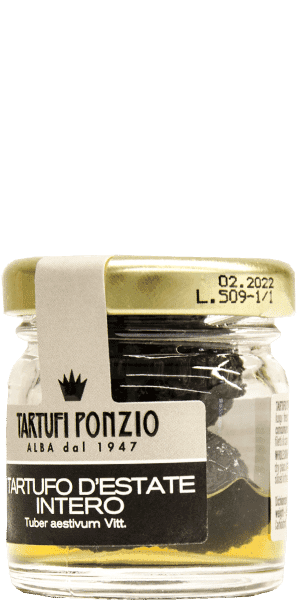 Ganzer Sommertrüffel Tartufi Ponzio Alba