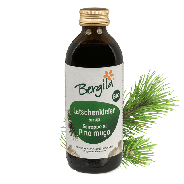 Latschenkiefersirup Bergila BIO - 0,15 L