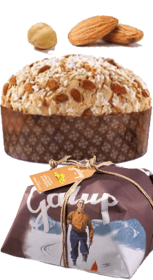 Panettone Gran Galup Al Moscato Moncucco Winter Edition Galup 1kg