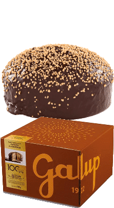Panettone DOLCE VITA Farcito con Gianduja Galup