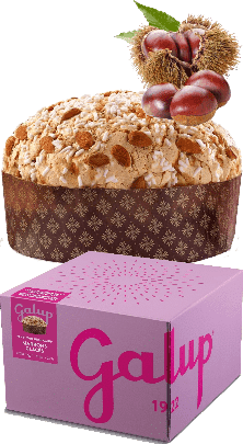 Panettone Gran Galup Marrons Glaces Galup 1kg