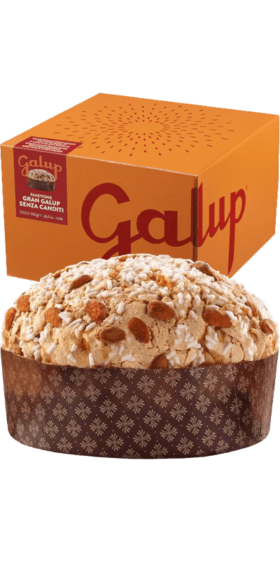 Galup Panettone Gran Galup senza Canditi 750g