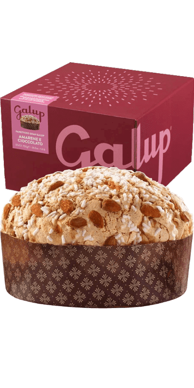 Galup Panettone Gran Galup Amarene e Cioccolato 750g