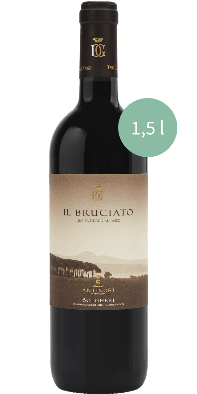 Il Bruciato Bolgheri Rosso DOC 1,5L Magnum - Tenuta Guado al Tasso Antinori