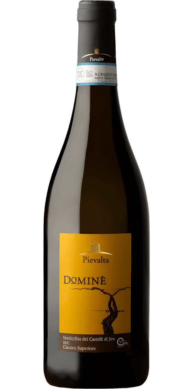 Verdicchio Castelli di Jesi DOC Domine Classico Superiore Pievalta