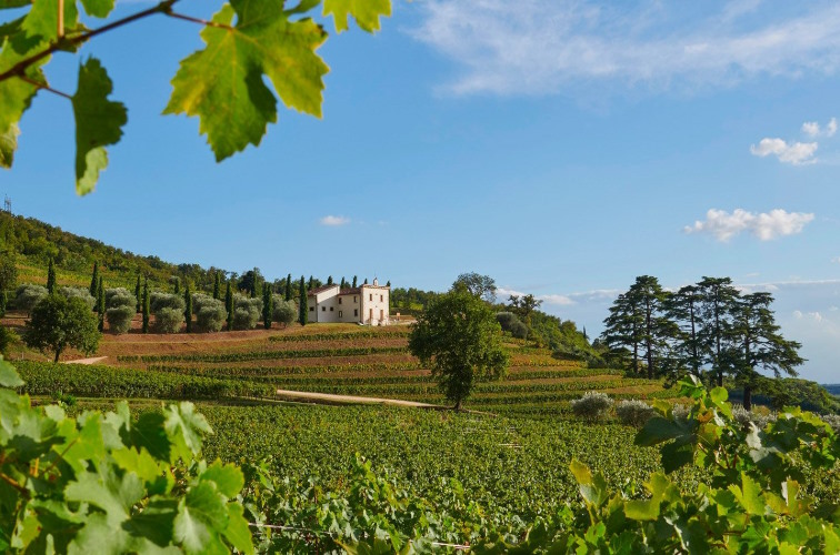 Amarone-Gebiet