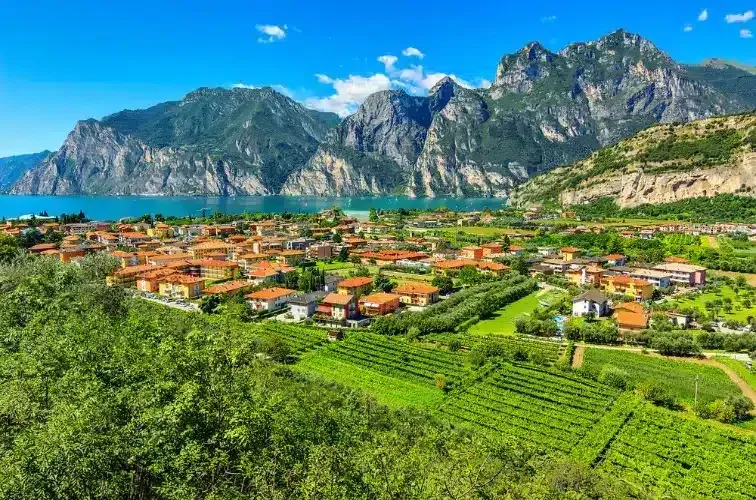 Die besten Weine vom Gardasee Titelbild