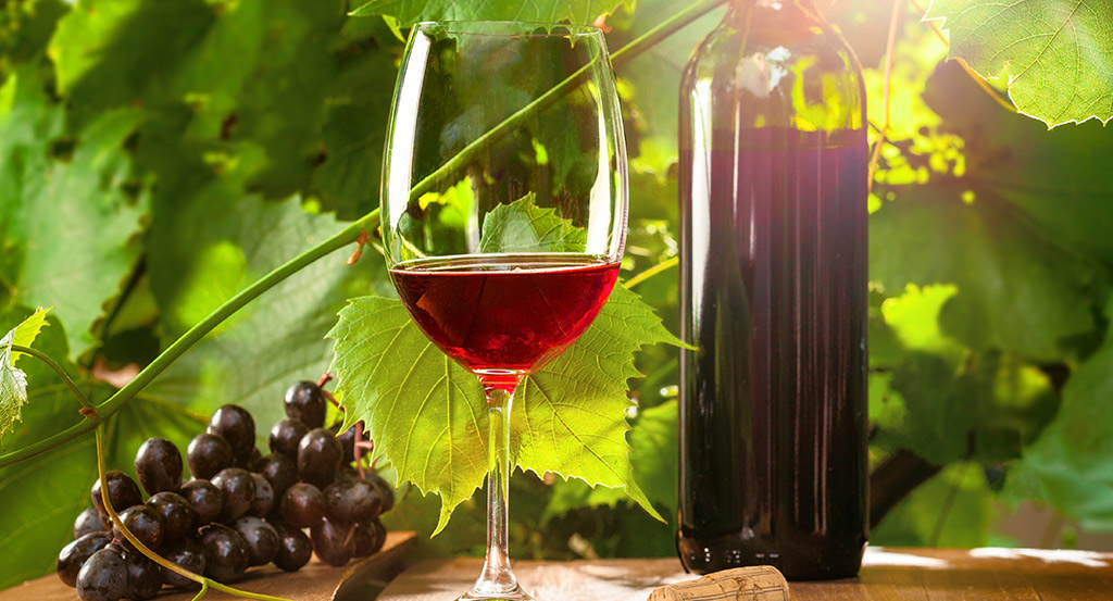 Montepulciano d'Abruzzo renommierter italienischer Rotwein