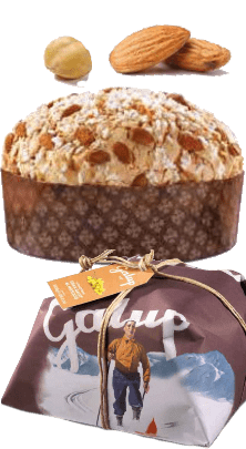 Galup Panettone Gran Galup Al Moscato Winter Edition 1kg
