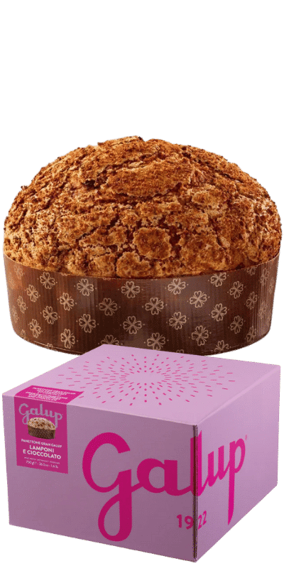 Galup Panettone Gran Galup Himbeere und Schokolade 750g