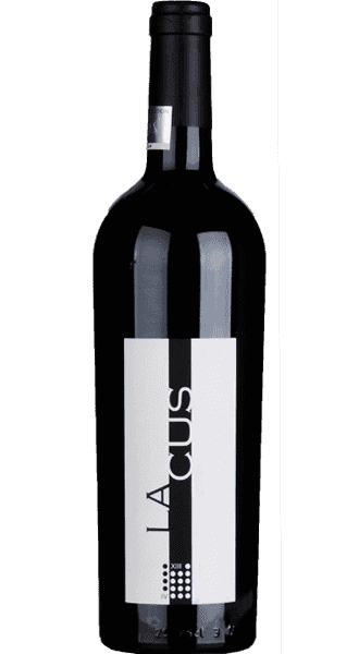 Lacus Vigneto delle Dolomiti IGT Schullian Walter - 0,75 L / 2022